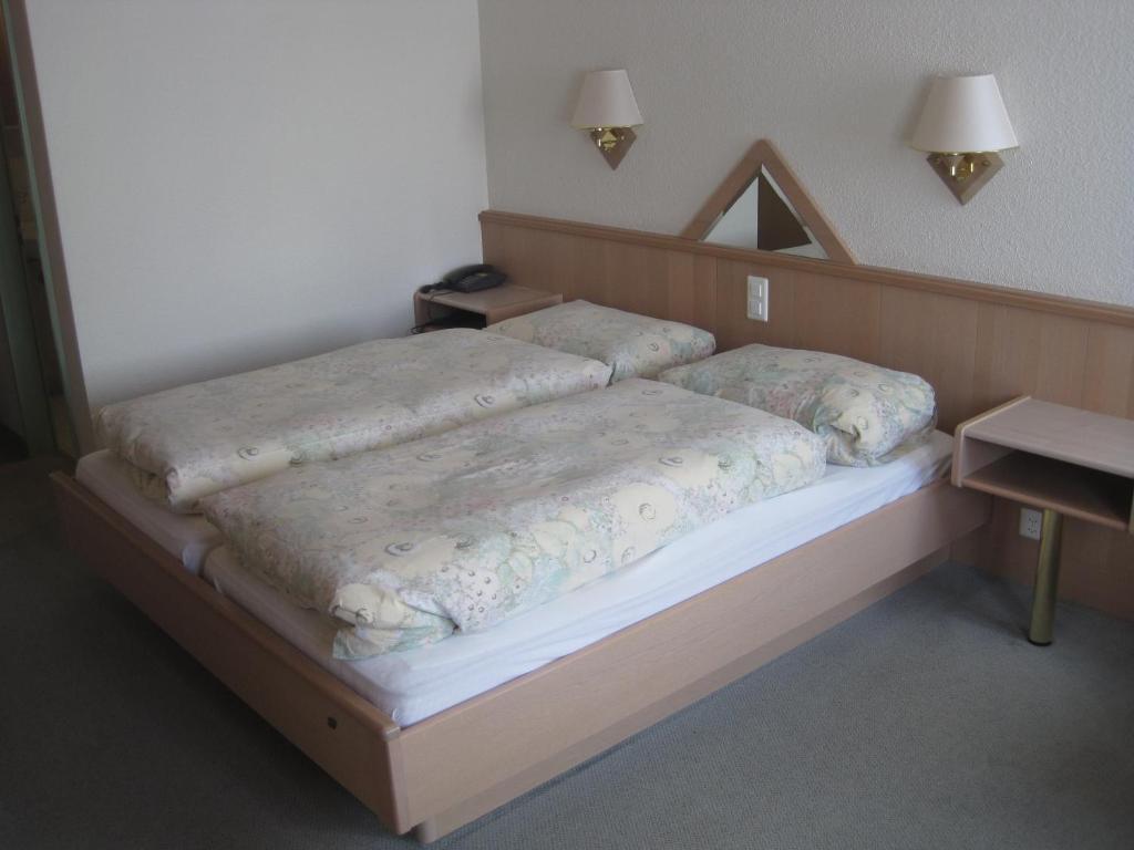 Hotel Des Alpes Realp Rum bild